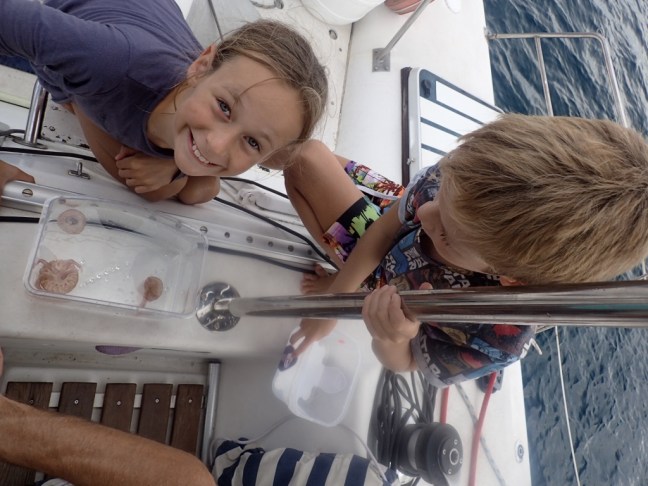 P9273397 (1024x768).jpg