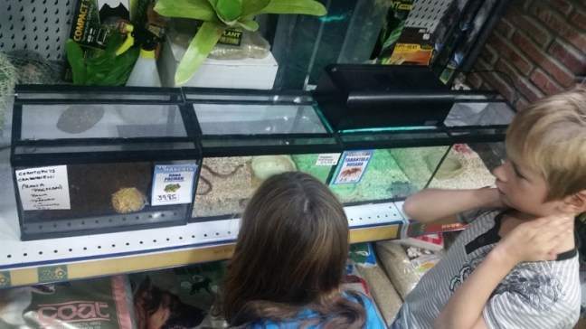 20161125_133408 (1024x576) (800x450).jpg