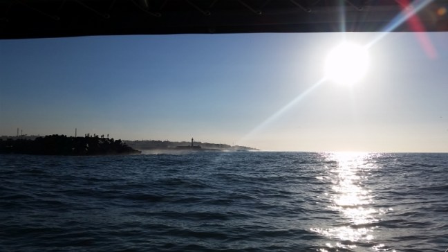 20161206_155520 (800x450).jpg