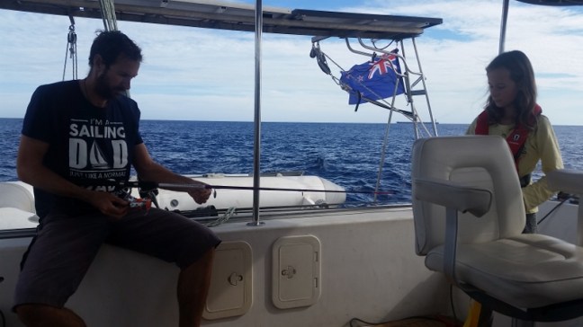 20161208_120631 (800x450).jpg