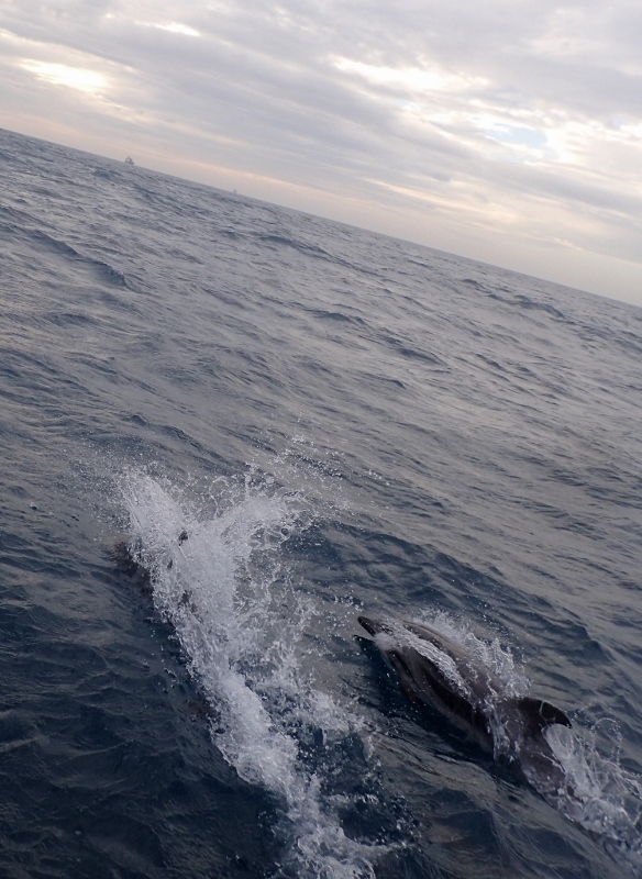 PC014073 (748x1024) (584x800).jpg