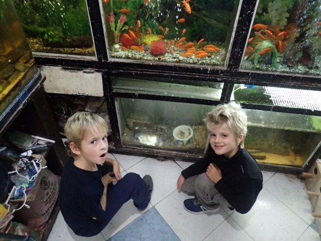 PC034130 (800x600).jpg