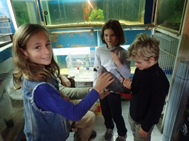 PC034135 (800x600).jpg