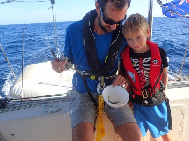 PC104424 (800x600).jpg