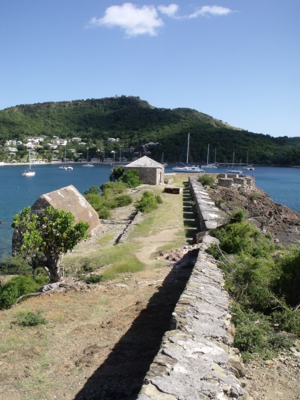 DSCF3242 (600x800).jpg