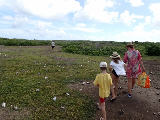 P1105185 (800x600).jpg