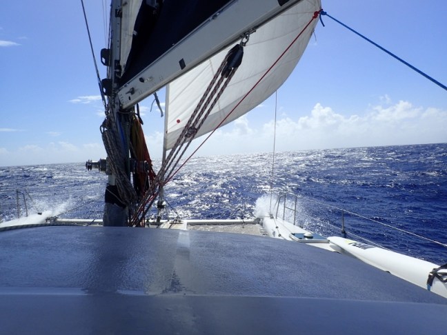 P1155305 (800x600).jpg