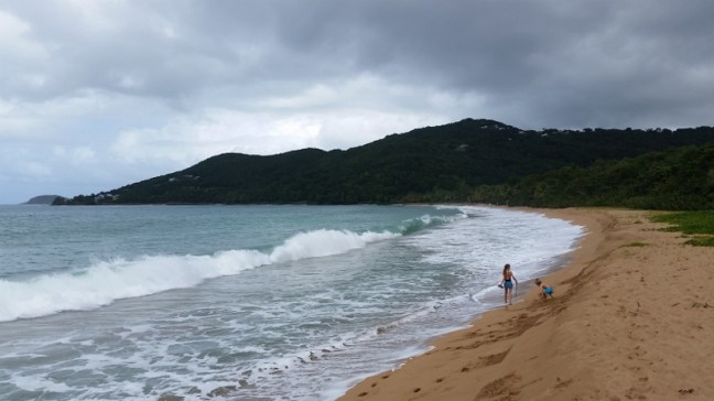 20170116_135015 (800x450).jpg