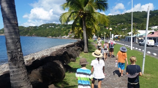 20170119_122604 (800x450).jpg