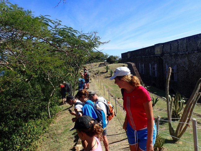 P1225451 (800x600).jpg