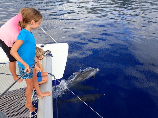 P1235560 (800x600).jpg