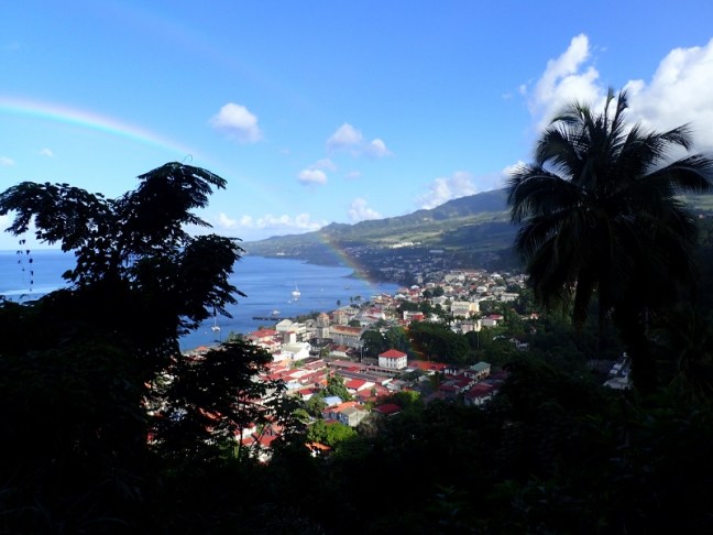 P1265682 (800x600).jpg