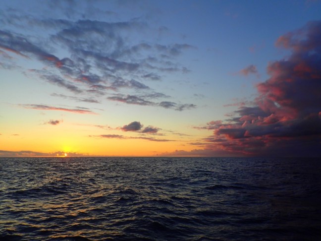 P2206163 (800x600).jpg