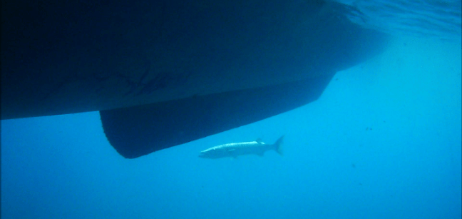 Snapshot 1 (27-04-2017 3-04 PM)