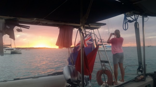 20170408_182437 (800x450)