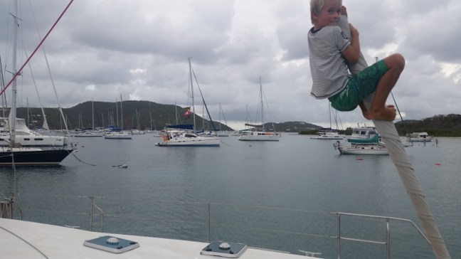 20170510_174316 (800x450)