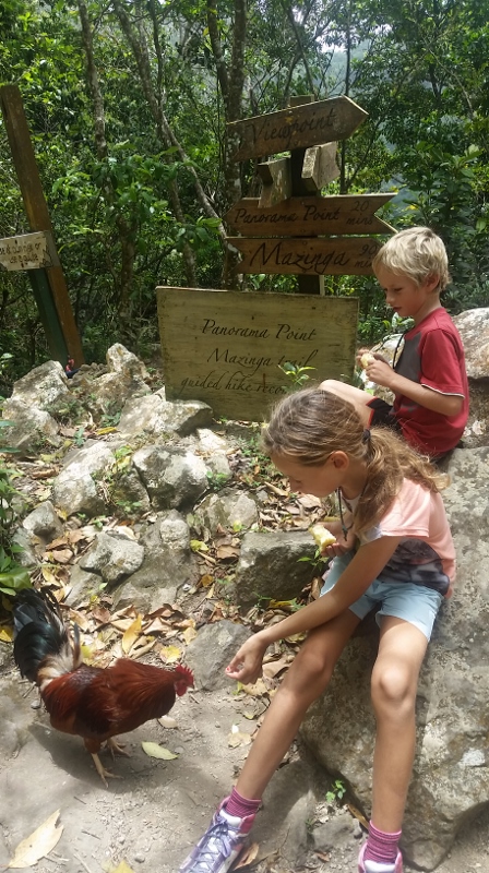 20170522_115737 (450x800)