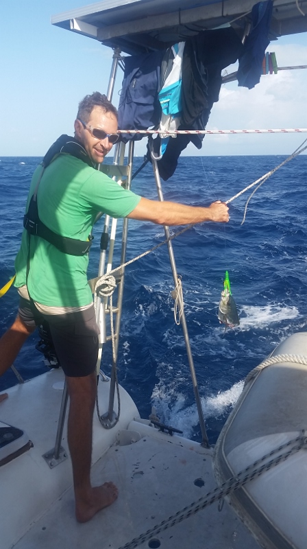 20170531_080645 (450x800)