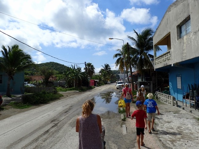 P5137789 (800x600).jpg