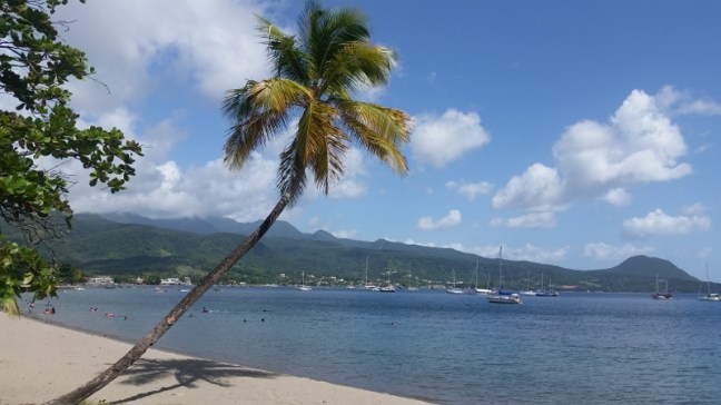 20170616_142710 (800x450)