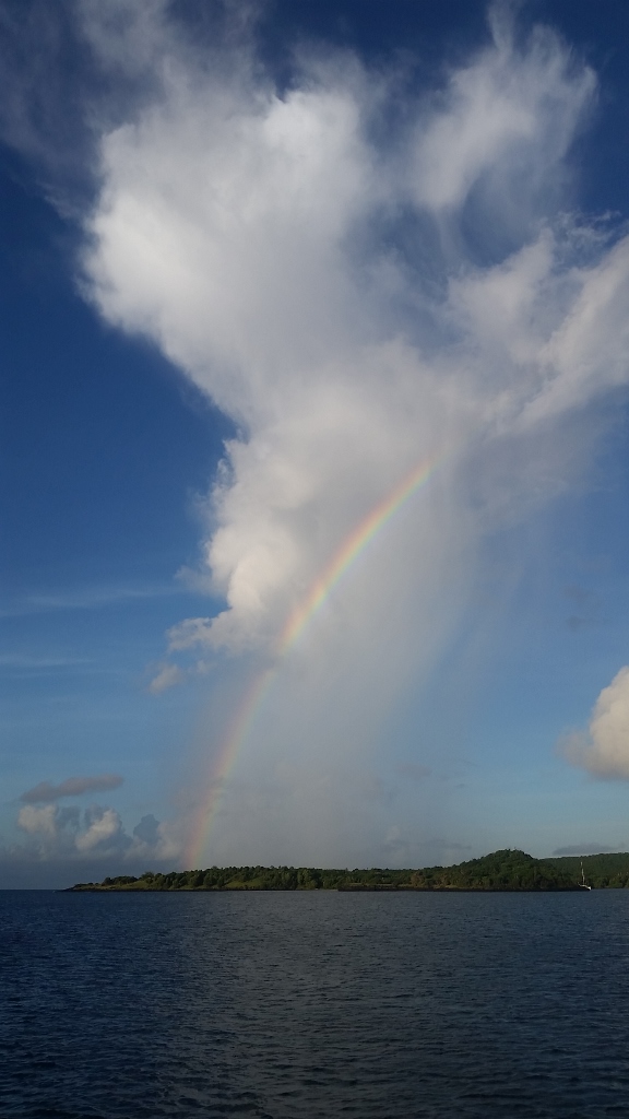 20171106_063428 (576x1024)