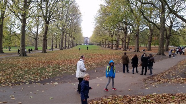 20171110_152031 (1024x576)