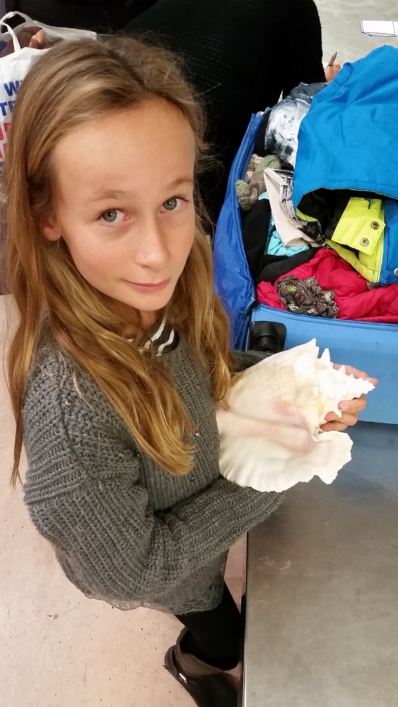 20171124_013040 (576x1024)